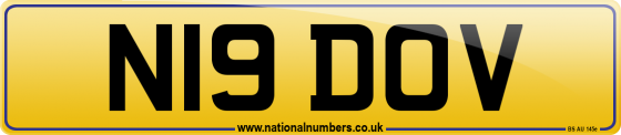 N19 DOV