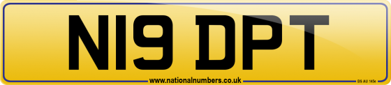 N19 DPT