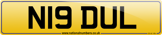 N19 DUL