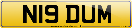 N19 DUM