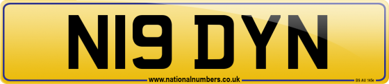 N19 DYN