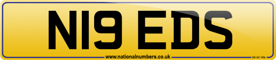 N19 EDS