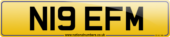 N19 EFM