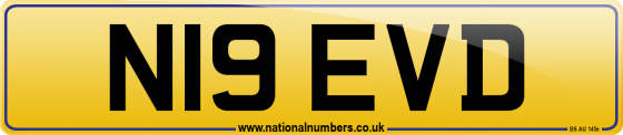 N19 EVD