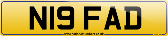 N19 FAD