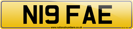 N19 FAE
