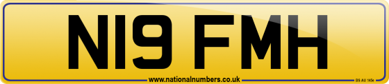 N19 FMH