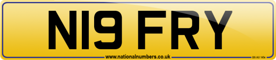 N19 FRY