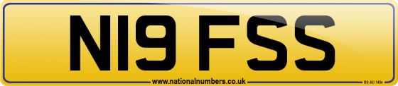 N19 FSS