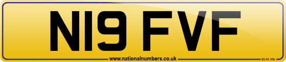 N19 FVF