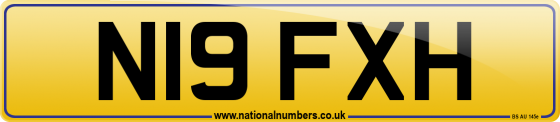 N19 FXH