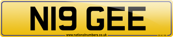 N19 GEE