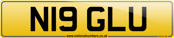 N19 GLU