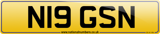 N19 GSN