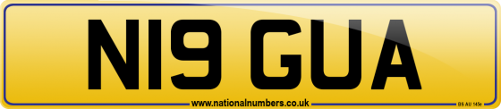 N19 GUA