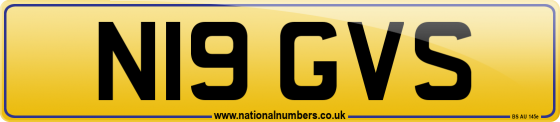 N19 GVS