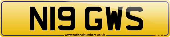 N19 GWS