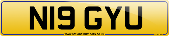 N19 GYU