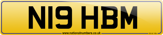 N19 HBM