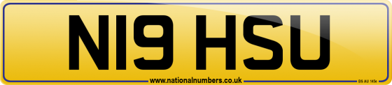N19 HSU