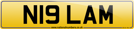 N19 LAM