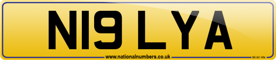 N19 LYA