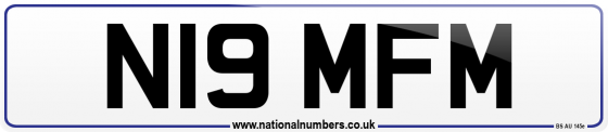N19 MFM