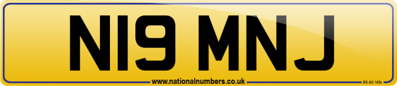 N19 MNJ