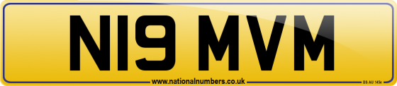 N19 MVM