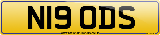N19 ODS