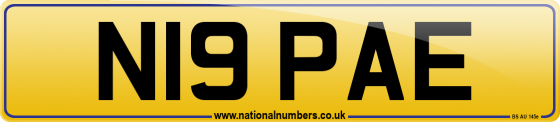 N19 PAE