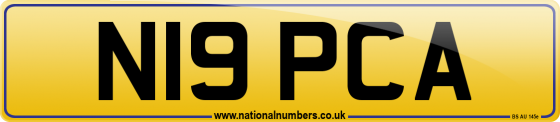 N19 PCA