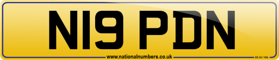 N19 PDN