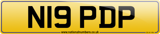N19 PDP