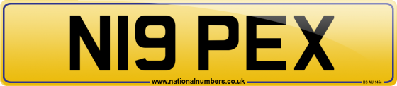 N19 PEX