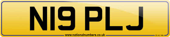 N19 PLJ