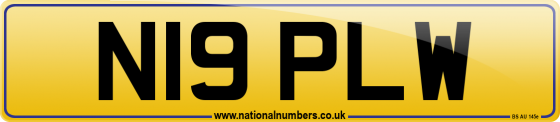 N19 PLW