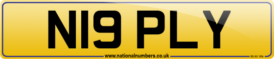 N19 PLY
