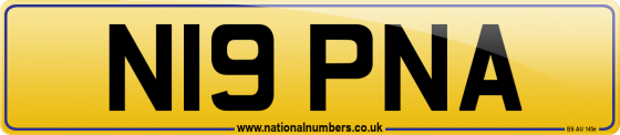 N19 PNA