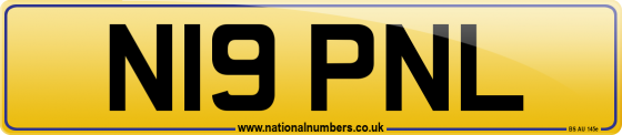 N19 PNL