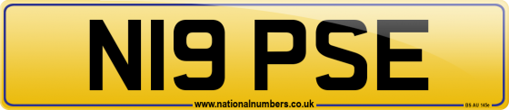 N19 PSE