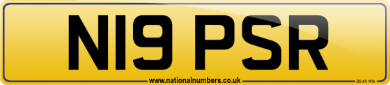 N19 PSR