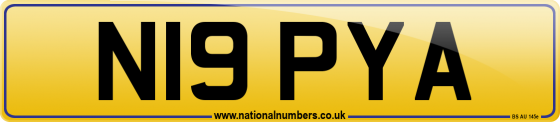 N19 PYA