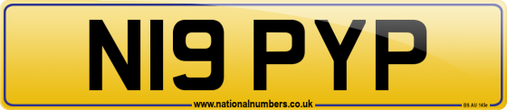 N19 PYP