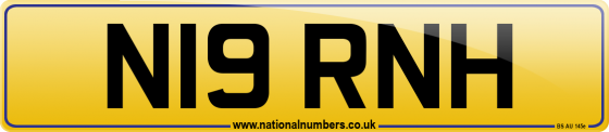 N19 RNH