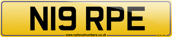 N19 RPE