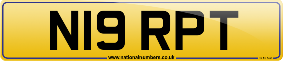 N19 RPT