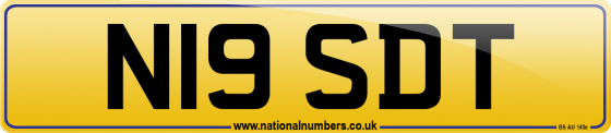 N19 SDT