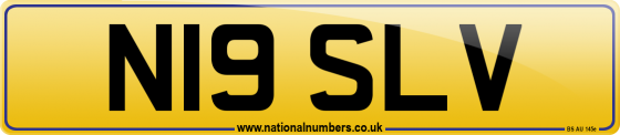 N19 SLV