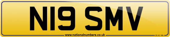 N19 SMV